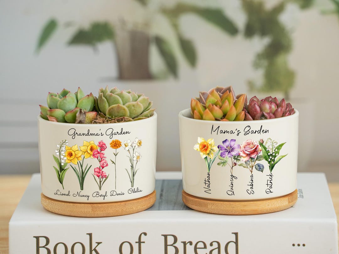 Custom Personalized Plant Pot - Gift for the Plant Lovers/Mother's Day - What The Fucculent