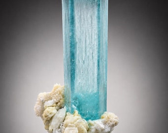 May include: A tall, hexagonal aquamarine crystal with a translucent light blue color, featuring vertical striations along its length. The crystal is attached to a cluster of rough, cream-colored mineral matrix at its base, creating a natural specimen.