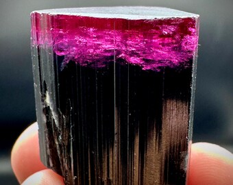 Gemmy Pink Cap Tourmaline Crystal, Afghanistan Origin