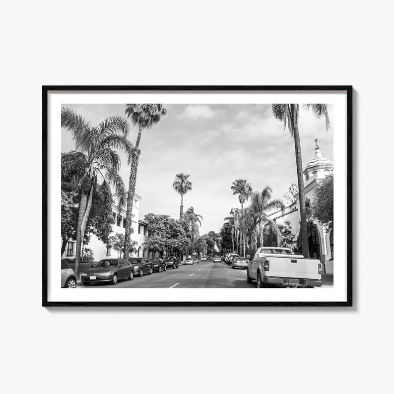 Santa Barbara Black and White Fine Art Photography Print, California Palm Trees Poster