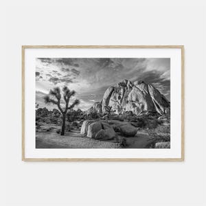 Joshua Tree National Park fotoposter print horizontaal nr. 1, Joshua Tree zwart-wit kunst, Joshua Tree fotografie, reizen, kaartposter