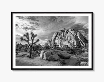 Joshua-Tree-Motiv: Schwarz-Weiß-Kunstdruck, Mojave-Wüstenposter, Kalifornien-Dekoration