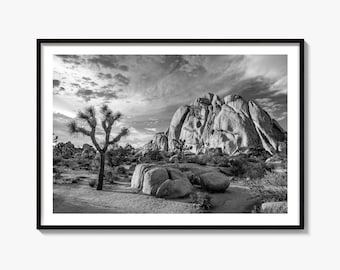 Joshua Tree Black and White Fine Art Photography Print, California Desert Poster