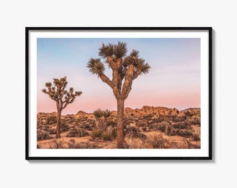 Joshua Tree Fine Art Fotografie, Druck, Mojave-Wüste, Kalifornien Wandkunst