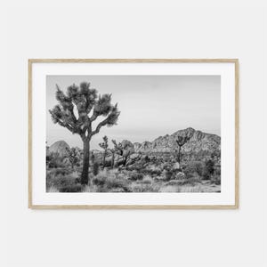 Joshua Tree National Park fotoposter print horizontaal nr. 2, Joshua Tree zwart-wit kunst, muurfotografie, reizen, kaartposter