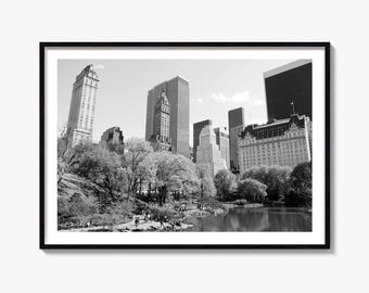 Central Park Black and White Fine Art Photography Print, NYC Poster, Manhattan Wall Art