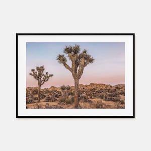 Joshua Tree National Park kleurrijke poster print horizontaal nr. 1, fotokunst, decor, Joshua Tree reizen print, Joshua Tree stratenplan poster