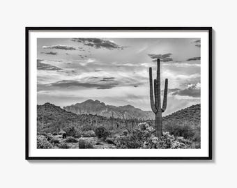 Impresión fotográfica de bellas artes en blanco y negro de Phoenix, póster del desierto de Sonora, arte mural de Arizona