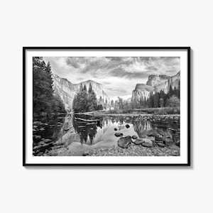 Redwood National Park Black and White Landscape Photography Print