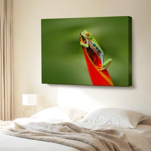 Colorful Frog Decorative Canvas Painting, Framed Canvas Wall Art, Large Wall Art, Housewarming Gifts, Animal Canvas Wall Art