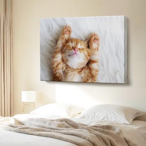 Kitten Decorative Canvas Painting, Animal Canvas Wall Art, Animal Modern Wall Art, Animal Canvas Wall Decor, Framed Canvas Wall Art