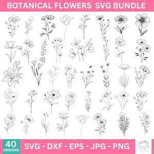 40 Botanical Svg Bundle Cut File, Floral,Flower leaves and branches svg,  Botanical clipart hand drawn doodle style, commercial use included