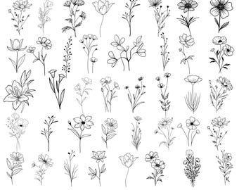 Paquete de 40 archivos de corte Svg botánicos, florales, hojas y ramas Svg, clipart botánico dibujado a mano estilo doodle, uso comercial incluido