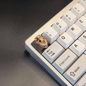 May include: A custom keyboard keycap featuring a detailed dinosaur skull design. The keycap is brown and tan, and sits on a white keyboard with other keys visible. The keycap is on the Tab key.