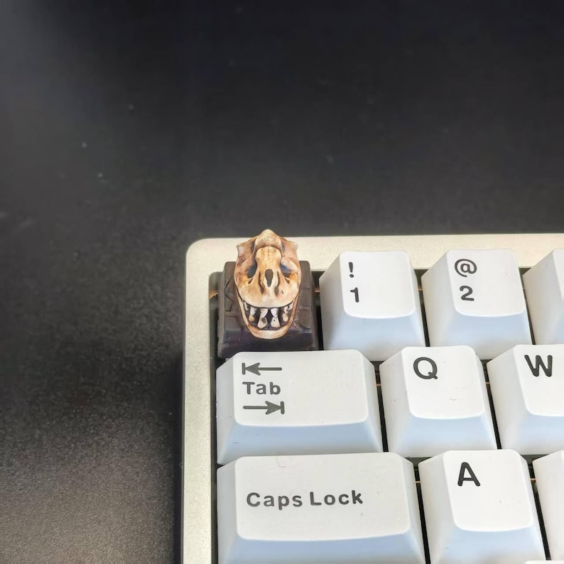 May include: A custom keycap featuring a detailed dinosaur skull design. The keycap is tan and brown, mounted on a keyboard with white keys. The keyboard has a silver frame. The keycap replaces the Tab key.