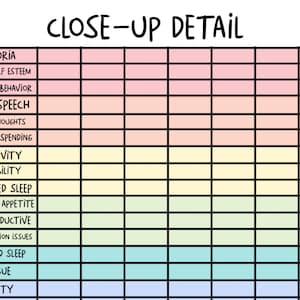 May include: A colorful chart titled "CLOSE-UP DETAIL" lists various symptoms in a grid format. The symptoms include "Euphoria," "Rapid Speech," "Impulsivity," and "Fatigue." Each symptom is in a colored box, with a corresponding blank box next to it.