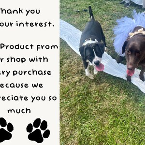 May include: Two dogs on a grassy lawn. One is black and white, the other is brown and wearing a white tutu. The image includes text that says "Thank you for your interest. Free Product from our shop with every purchase because we appreciate you so much."
