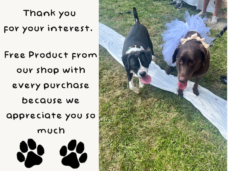 May include: Two dogs on a grassy lawn. One is black and white, the other is brown and wearing a white tutu. The image includes text that says "Thank you for your interest. Free Product from our shop with every purchase because we appreciate you so much."