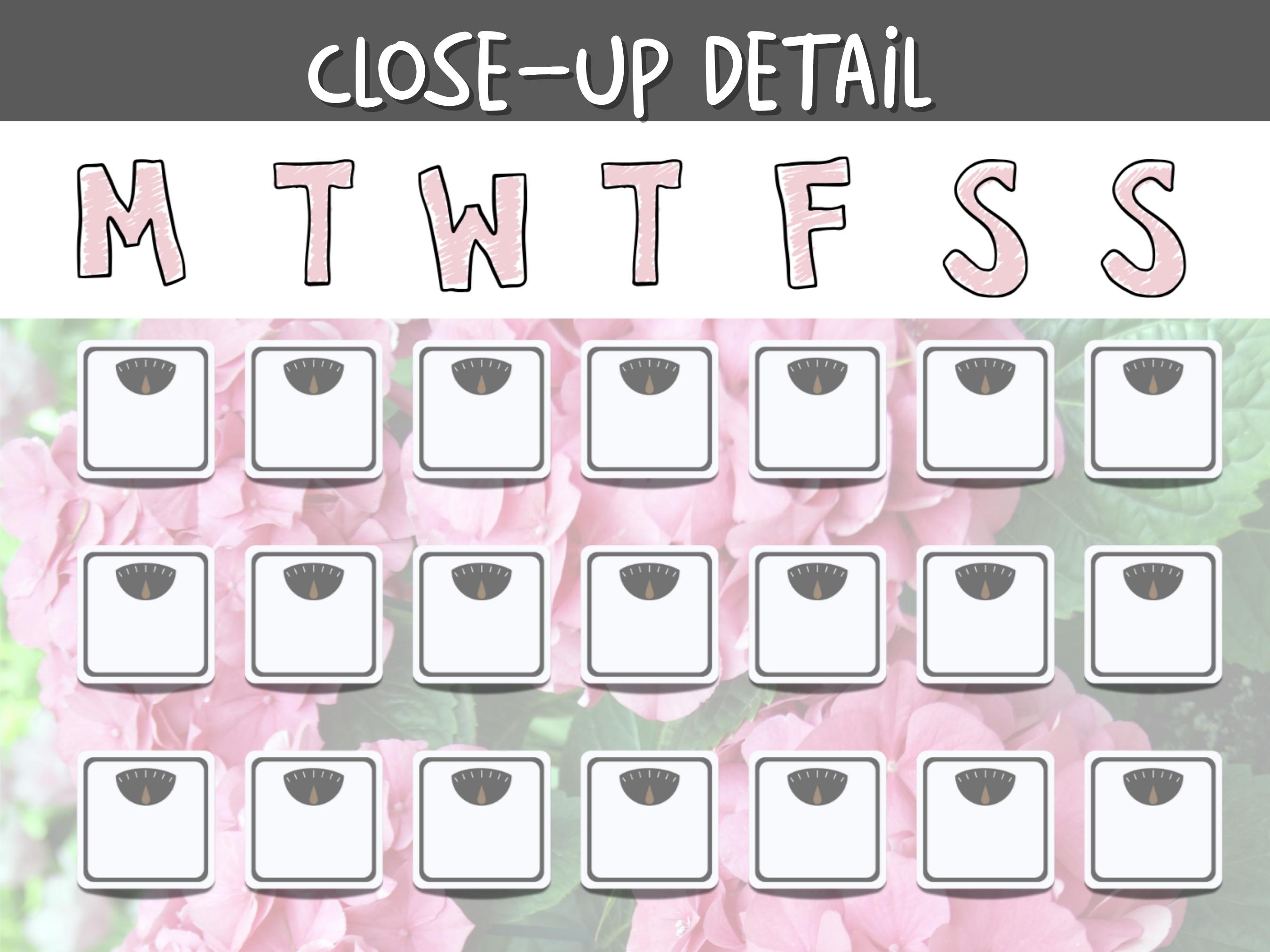 Spring Can Tracker GLP-1 Spring Weight Loss Tracker Bundle: Printable | Daily, Weekly ...