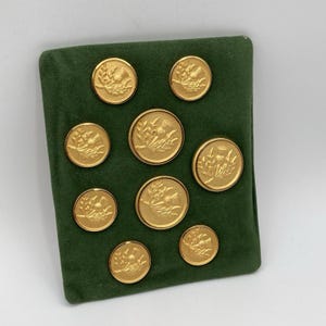 Può includere: Un set di otto bottoni circolari in metallo dorato disposti su un espositore in velluto verde scuro. Ogni bottone presenta un design in rilievo raffigurante una pianta di cardo con foglie e un fiore al centro della superficie metallica.