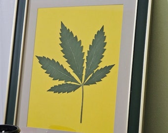 REAL Framed Cannabis / Hemp Leaf, Dried Pressed Weed Leaves 420 All Natural Home Decor, Marijuana Arts & Crafts