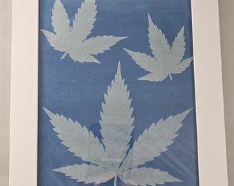 Cannabis Leaves Cyanotype Framed Decor Hemp Weed Leaf 420 Home, Marijuana Stoner gift Original print photo blue