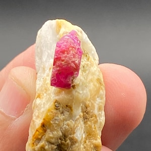 May include: A raw ruby crystal, a vibrant pink-red hue, is embedded in a matrix of off-white and tan stone. The ruby's crystalline structure is visible. The stone has a rough, natural texture, showcasing its geological origins.