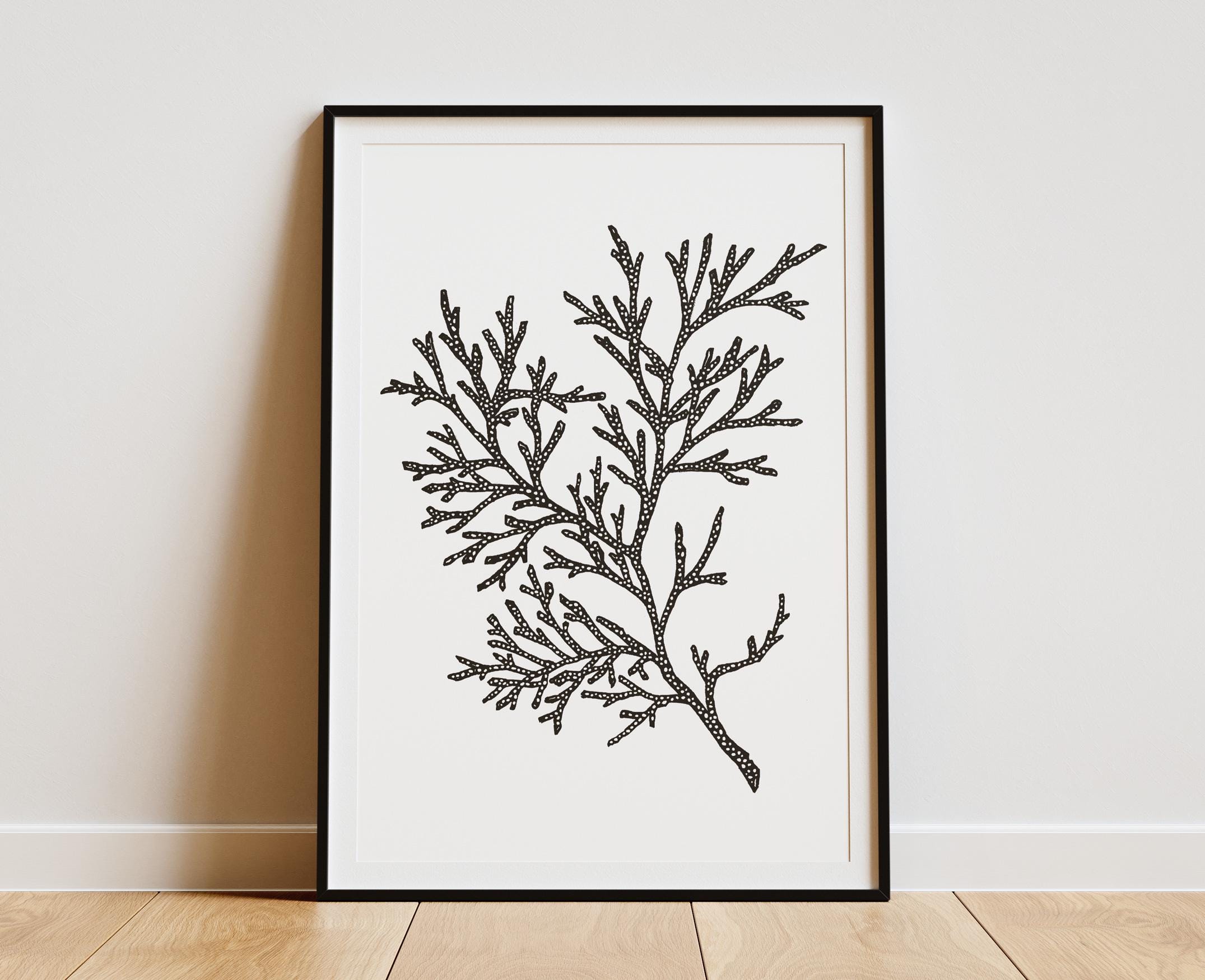 Thuja Botanical Poster - Black & White Stylized Illustration - Nature Wall  Art Decor - Etsy