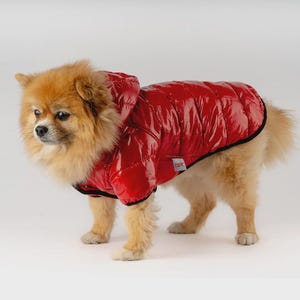 Dog Bright Red Coat For Dogs&Cats