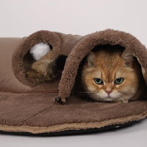 Cozy Cat House: Resting & Hiding Spot