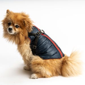 Pet Vest with Leash and Back Zipper Navy Blue  For Dogs&Cats