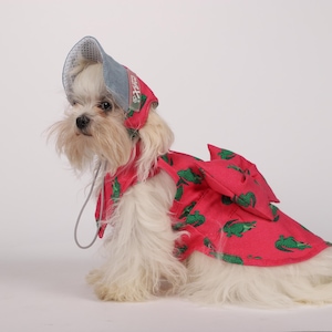 Pet Animal Dress and Hats For Dogs&Cats