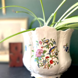 May include: White ceramic planter with a scalloped rim, featuring a colorful floral and bird design. The planter has a gold trim and is filled with a green plant. The background is a dark teal wall.