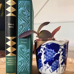 Vaso vintage azul e branco em formato de videira • Cachepot estilo cottagecore com inspiração chinesa • Vaso pequeno de cerâmica