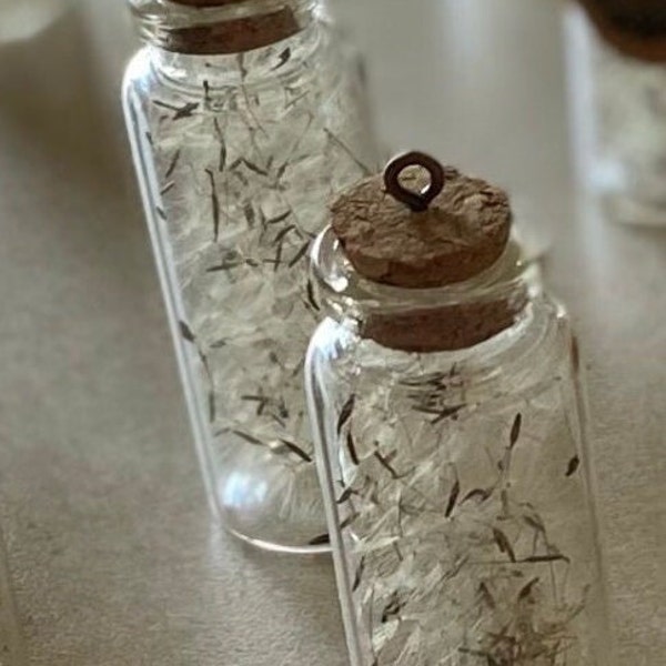 Wish jars - Real Dandelion Seeds - Wish bottle