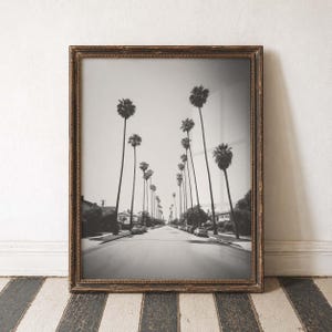 May include: Black and white framed photograph of a street lined with tall palm trees. The image is a long shot down the road, with cars parked on the sides. The frame is a dark, ornate wood.