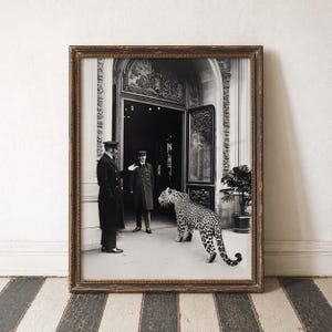 Luxe Leven Exotisch Reizen Vintage Glamour Zwart Wit Kunst Tijdloze Schoonheid Stijlvol Decor Retro Avontuur Hollywood-scène Elegante Mode Kunst afbeelding 1