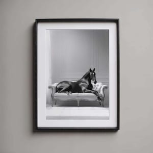Puede incluir: Impresión en blanco y negro enmarcada de un caballo negro reclinado en un sofá blanco y ornamentado. El caballo tiene un pelaje brillante y está en una pose relajada. El fondo es una habitación simple y elegante.