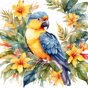 Ara blu-giallo Biglietto carino con uccello Decorazione da parete Immagine ad acquerello Regalo di compleanno Buono regalo digitale Popolare su Etsy Decorazione per la cameretta dei bambini