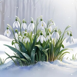 Immagine carina bucaneve Dipinto di fiori ad acquerello Decorazione da parete Immagine ad acquerello Regalo di compleanno Buono regalo digitale Popolare su Etsy Arte da parete