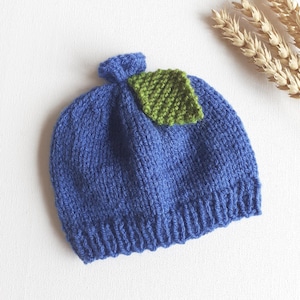 May include: A knitted blue hat with a green leaf accent. The hat is made of a soft, textured yarn and features a small, rounded top. The green leaf is attached to the front of the hat. The hat is likely for a baby or small child.