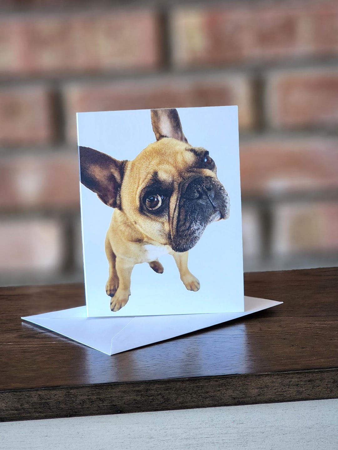 Set of 5 Blank French Bulldog Cards, French Bulldog, French Bulldog ...