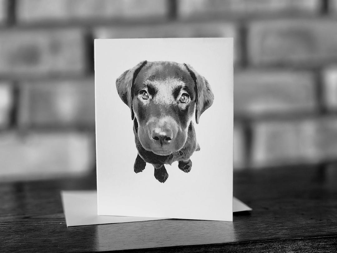 Set of 5 Labrador Retriever Puppy Note Cards, Featuring Photo of Lab ...