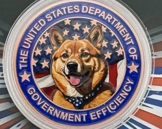 DOGE Coin: Department of Government Efficiency • Elon Musk • 33 Grams (> 1 oz) Pure Copper Round in Capsule (.999 Fine) • Limited Mintage