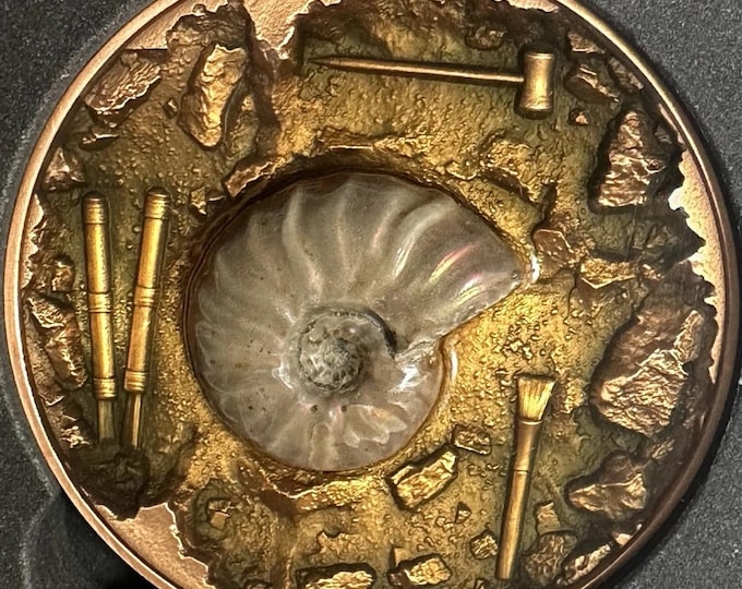 2023 Chad 5000 Francs • Ammonite Fossil Excavation • Bi-Metal Reverse Coin • 1 oz Fine Silver + 11.5 oz Pure Copper • Limited Mintage 33/688