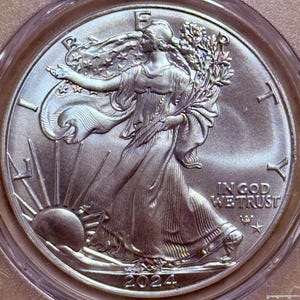Peut inclure: Une pi&egrave;ce de monnaie en argent repr&eacute;sentant Lady Liberty marchant vers le soleil avec une branche d'olivier. La pi&egrave;ce porte l'inscription "IN GOD WE TRUST" et l'ann&eacute;e "2024". La pi&egrave;ce est enferm&eacute;e dans un &eacute;tui de protection transparent.