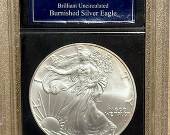 2006 W Burnished Silver Eagle Landing • Bradford Exchange Authenticated, First Year of Issue Coin Slab Holder • Brilliant Uncirculated