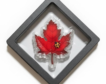 Pure Silver Maple Leaf with Ladybug Shaped Art Bar, Red • 1.5g Fine (.999) Silver in Floating Display • Limited Mintage of 1500