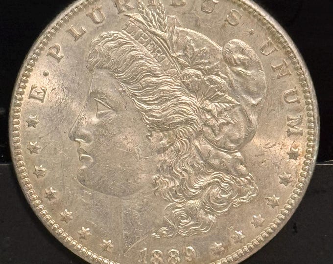 1889 P Morgan Silver Dollar • Philadelphia Mint • 90% Fine Silver • Genuine Ungraded Raw Coin • Black Marker on Reverse