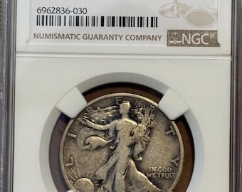 1919 D Walking Liberty Half Dollar • KEY DATE • Graded NGC Fine Details (Scratches)